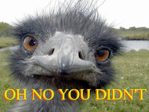 OH NO YOU DIDN'T! - Go Back, Think About It, and Answer Again!