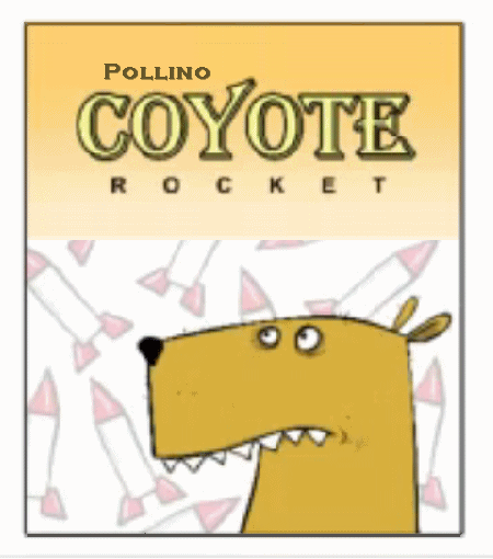 Pollino COYOTE Rocket