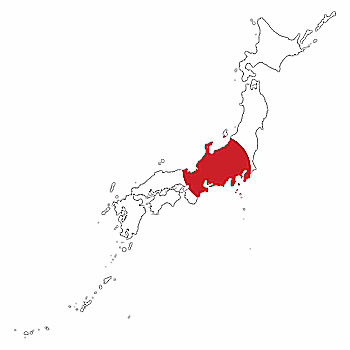 The Independent Party of Japan