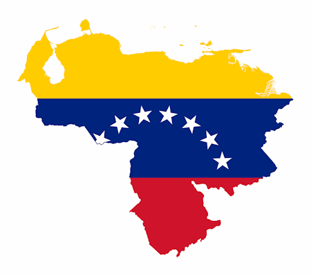 The Independent Party of Venezuela